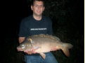 Spiegelkarpfen, Gewicht: 18,0 Pfund, Fangdatum: 21.09.2007, Köder: Boilie (Selfmades), Land: Österreich