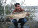 Amur / Graskarpfen, Gewicht: 17,0 Pfund, Fangdatum: 05.06.2010, Köder: Tigernuss, Land: Österreich