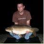 Spiegelkarpfen, Gewicht: 17,0 Pfund, Fangdatum: 26.07.2008, Köder: Boilie, Land: Österreich