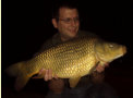 Schuppenkarpfen, Gewicht: 13,6 Pfund, Fangdatum: 06.04.2009, Köder: Boilie, Land: Österreich
