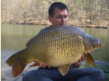 Schuppenkarpfen, Gewicht: 13,0 Pfund, Fangdatum: 06.04.2009, Köder: Boilie, Land: Österreich