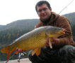 Schuppenkarpfen, Gewicht: 9,0 Pfund, Fangdatum: 10.10.2010, Köder: Selfmade Boilie, Land: Österreich