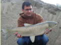 Amur / Graskarpfen, Gewicht: 9,0 Pfund, Fangdatum: 04.06.2010, Köder: Tigernuss, Land: Österreich