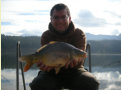 Spiegelkarpfen, Gewicht: 1,6 Pfund, Fangdatum: 24.10.2010, Köder: Carparea Fisch Boilie, Land: Österreich
