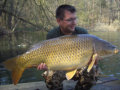 Schuppenkarpfen, Gewicht: 38,0 Pfund, Fangdatum: 07.04.2009, Kder: Boilie, Land: sterreich