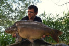 Spiegelkarpfen, Gewicht: 29,0 Pfund, Fangdatum: 07.06.2012, Kder: Carparea Boilie 2012, Land: sterreich