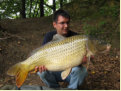 Schuppenkarpfen, Gewicht: 28,0 Pfund, Fangdatum: 30.08.2008, Kder: Partikel, Land: sterreich