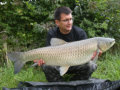 Amur / Graskarpfen, Gewicht: 26,0 Pfund, Fangdatum: 06.09.2010, Kder: Tigernuss, Land: sterreich