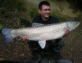 Amur / Graskarpfen, Gewicht: 24,0 Pfund, Fangdatum: 06.09.2010, Kder: Tigernuss, Land: sterreich