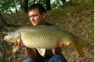 Schuppenkarpfen, Gewicht: 23,0 Pfund, Fangdatum: 09.06.2009, Kder: Maiskette, Land: sterreich