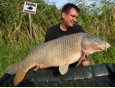 Schuppenkarpfen, Gewicht: 36,6 Pfund, Fangdatum: 05.09.2014, Kder: Carparea 2012 Boilie, Land: sterreich