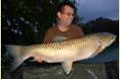 Amur / Graskarpfen, Gewicht: 23,0 Pfund, Fangdatum: 21.08.2015, Kder: Carparea Boilie, Land: sterreich