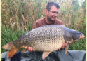 Schuppenkarpfen, Gewicht: 28 Pfund, Fangdatum: 18.09.2016, Kder: Carparea Boilie, Land: sterreich