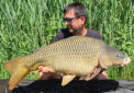 Schuppenkarpfen, Gewicht: 24 Pfund, Fangdatum: 02.06.2022, Kder: Carparea Boilie, Land: sterreich