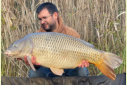 Schuppenkarpfen, Gewicht: 36 Pfund, Fangdatum: 12.11.2022, Kder: Carparea Boilie, Land: sterreich